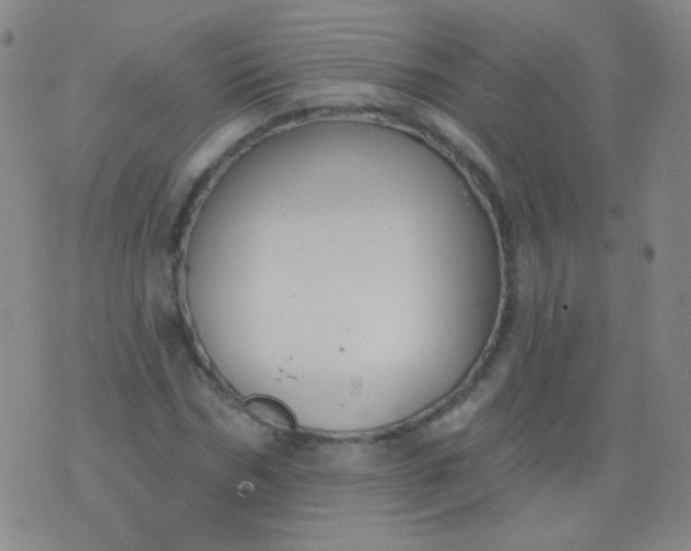 X0000076400970200610202126