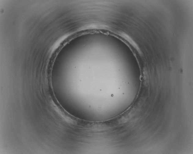 X0000076400972200610202126