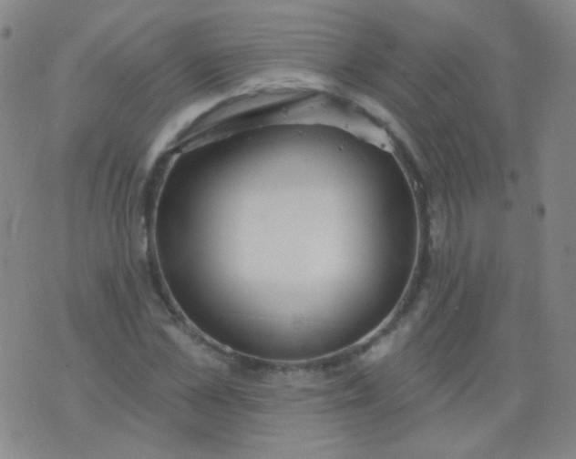 X0000076400973200610202126