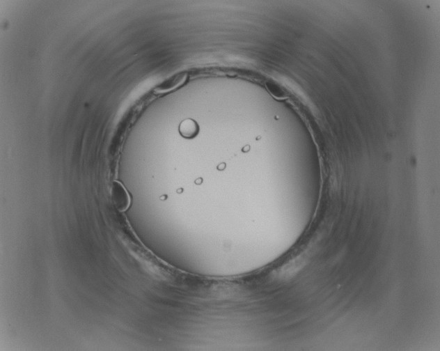 X0000076400974200610202126