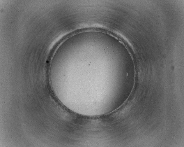 X0000076400975200610202126