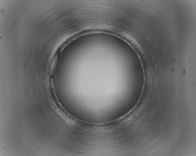 X0000076400976200610202126