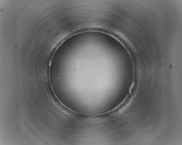 X0000076400977200610202126