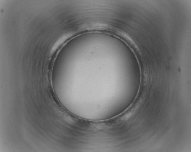 X0000076400978200610202126