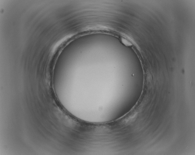 X0000076400979200610202126