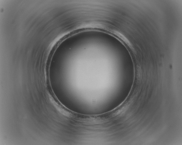 X0000076400980200610202126