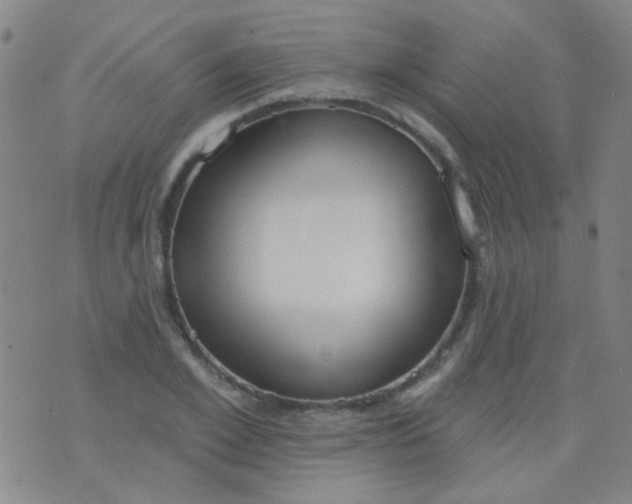 X0000076400981200610202126