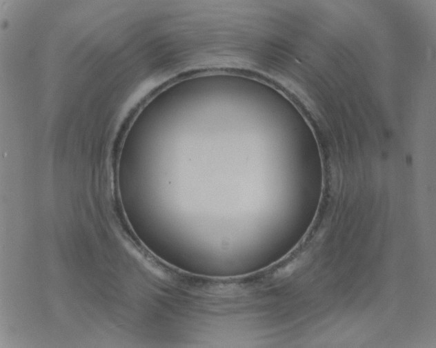 X0000076400982200610202126