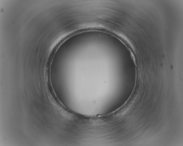 X0000076400983200610202126