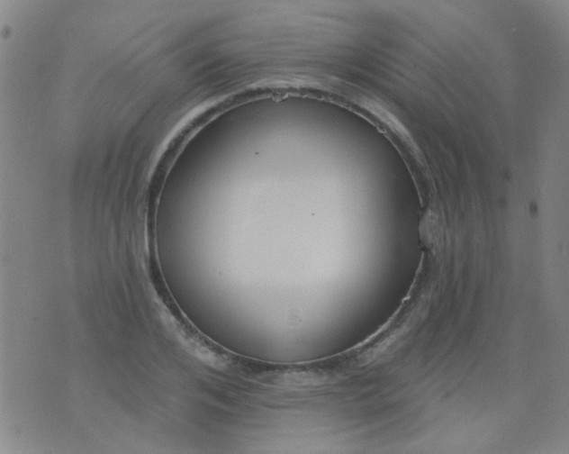 X0000076400984200610202126