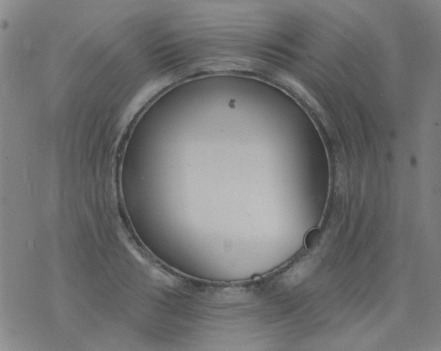 X0000076400986200610202125