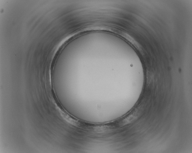 X0000076400988200610202125