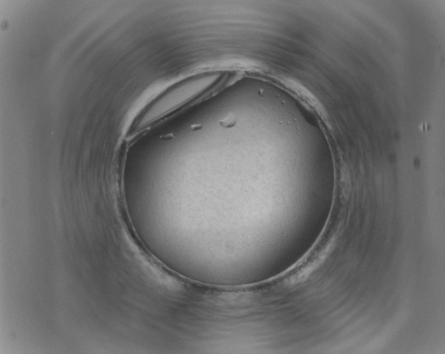 X0000076400989200610202125