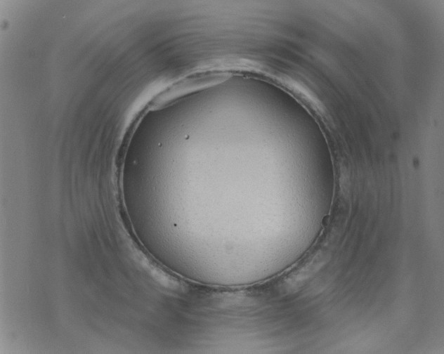 X0000076400990200610202125