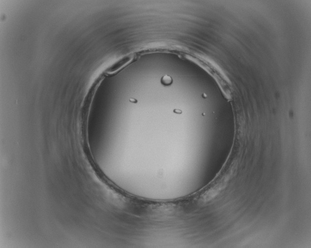 X0000076400991200610202125