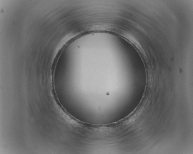 X0000076400992200610202125