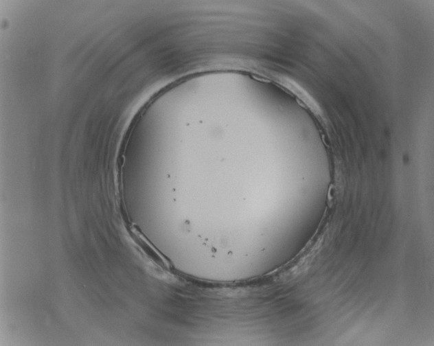 X0000076400996200610202125