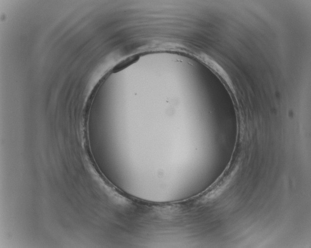 X0000076400997200610202125