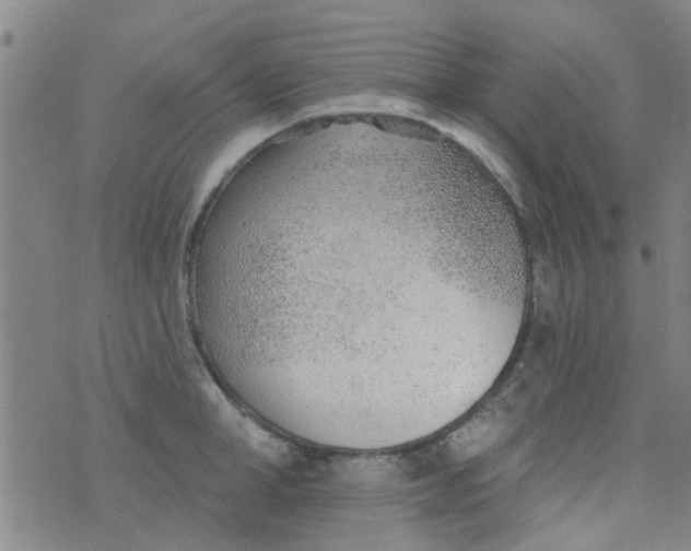 X0000076400998200610202125