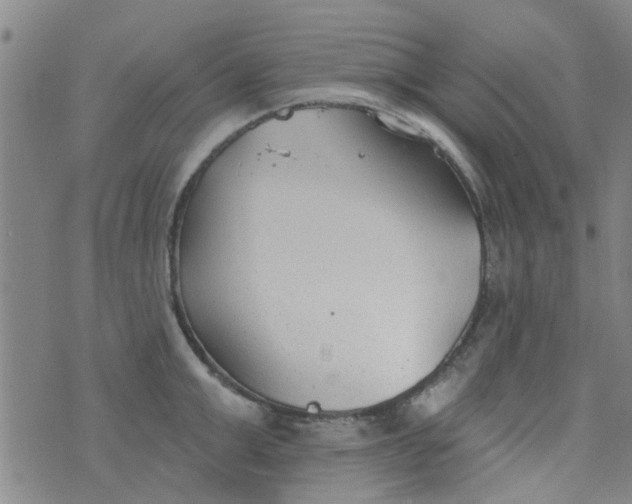 X0000076400999200610202125