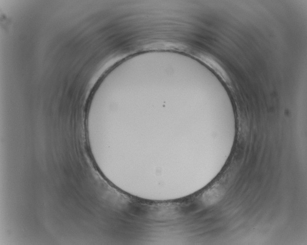 X0000076401000200610202125