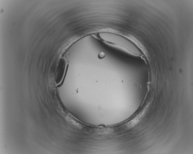 X0000076401001200610202125