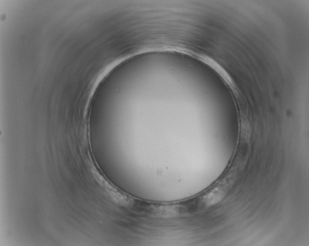 X0000076401004200610202125