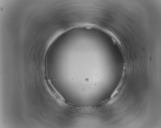 X0000076401007200610202125