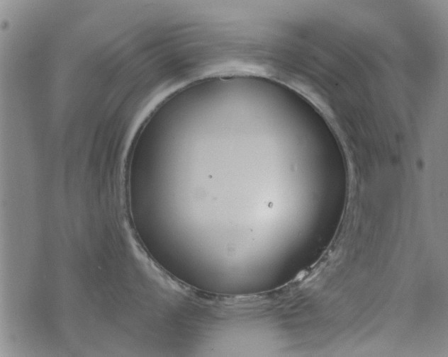 X0000076401008200610202125