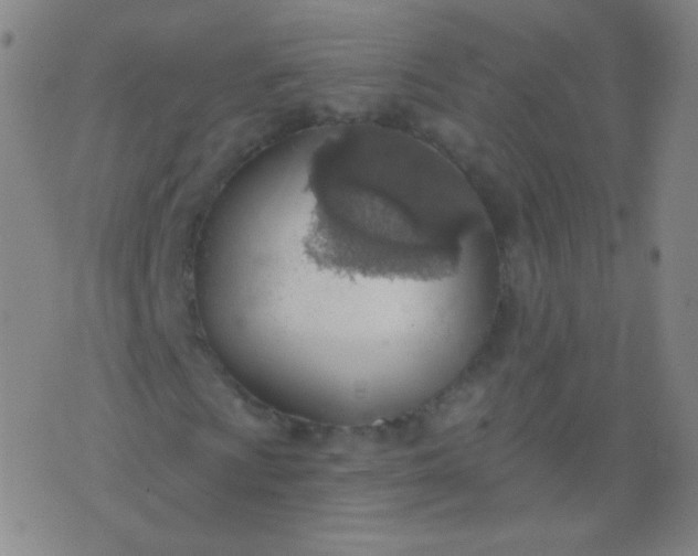 X0000076401009200610202124