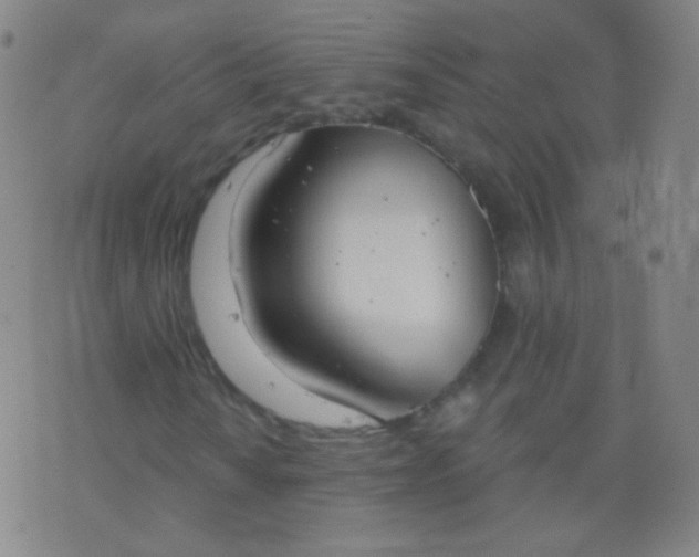 X0000076401010200610202124