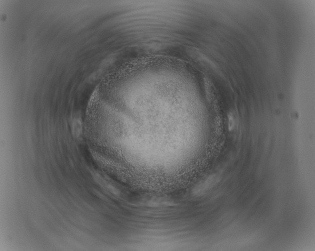 X0000076401011200610202124