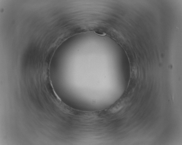 X0000076401012200610202124