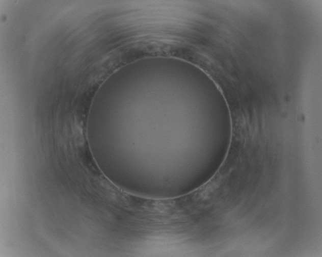 X0000076401013200610202124