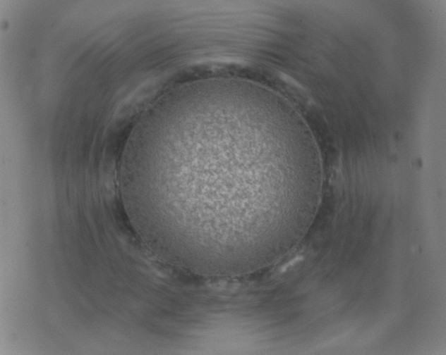 X0000076401014200610202124