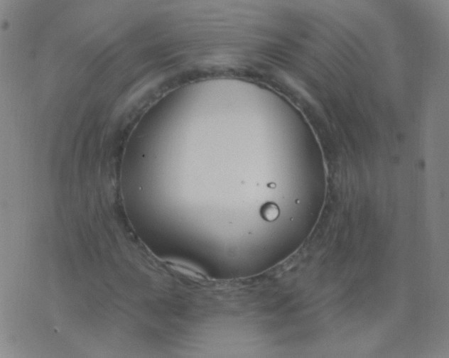 X0000076401015200610202124