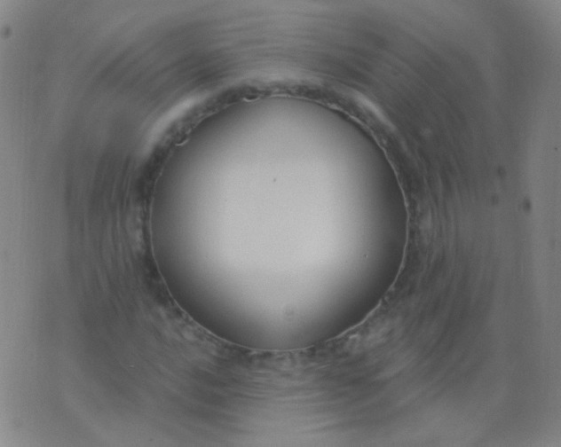 X0000076401016200610202124