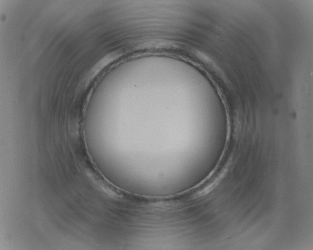 X0000076401017200610202124