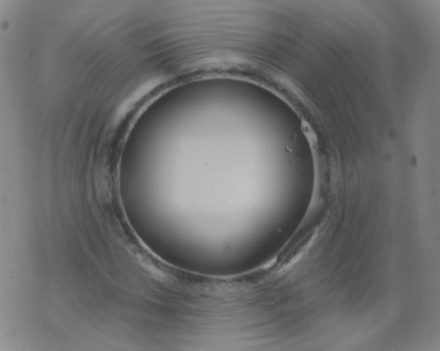 X0000076401018200610202124