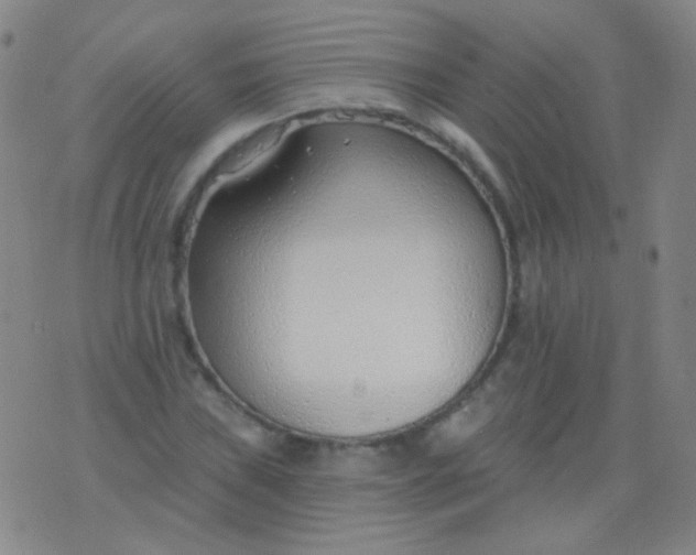 X0000076401019200610202124