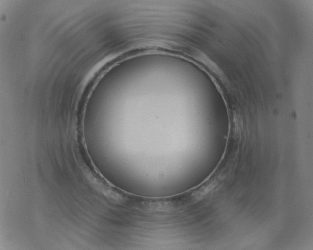 X0000076401020200610202125