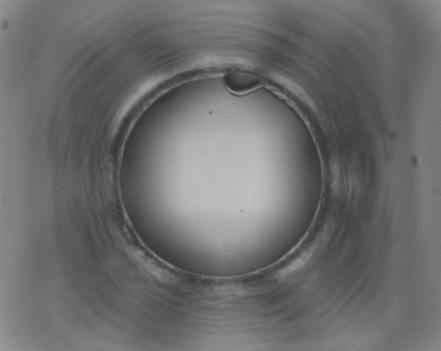 X0000076401021200610202125