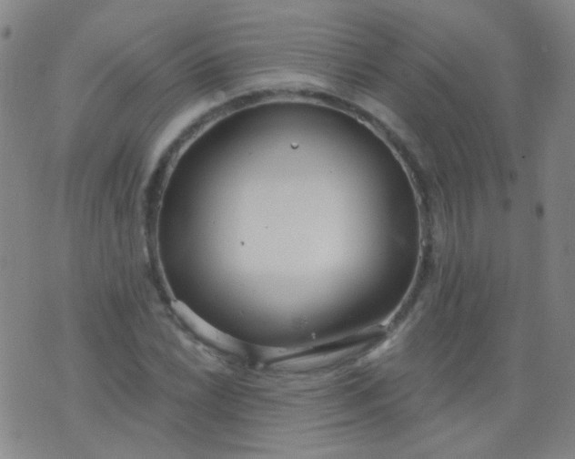 X0000076401022200610202125