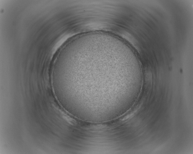 X0000076401023200610202125