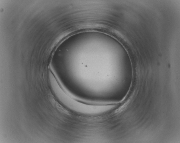 X0000076401025200610202125