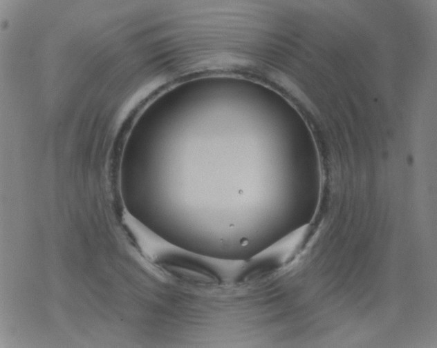 X0000076401026200610202125