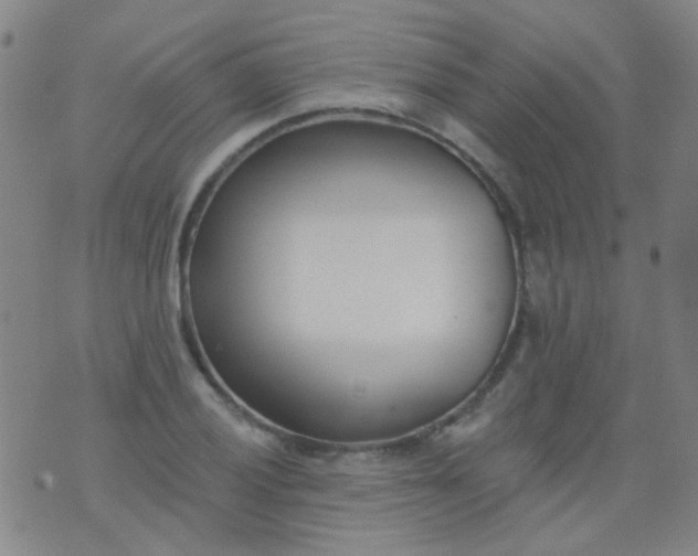 X0000076401028200610202125