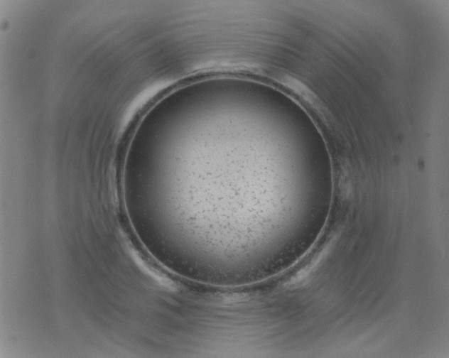 X0000076401030200610202125