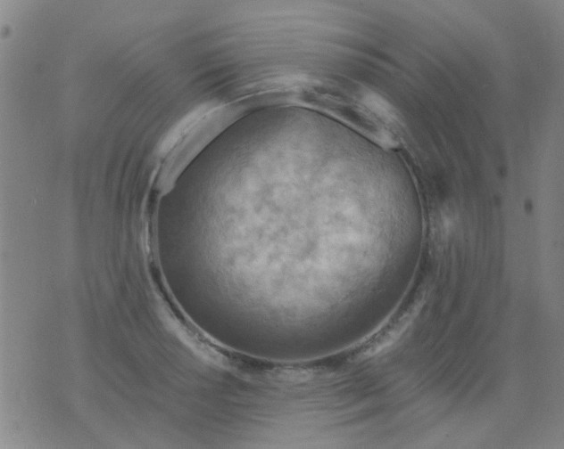 X0000076401034200610202125