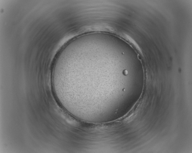 X0000076401035200610202125